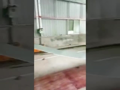 18-20 postenrol die Machine voor Vangrailcomité 45# Staal vormen