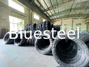 Torsion Load Roller Door Spring met aangepaste binnendiameter en draaddiameter